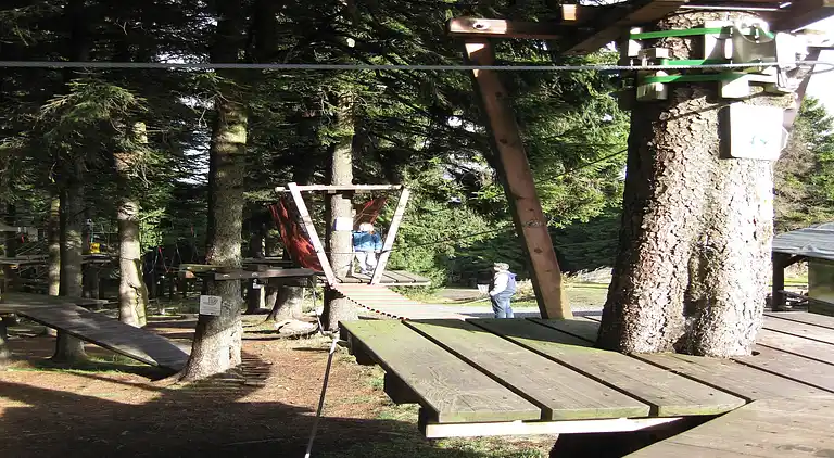 Holiday home in Abertamy