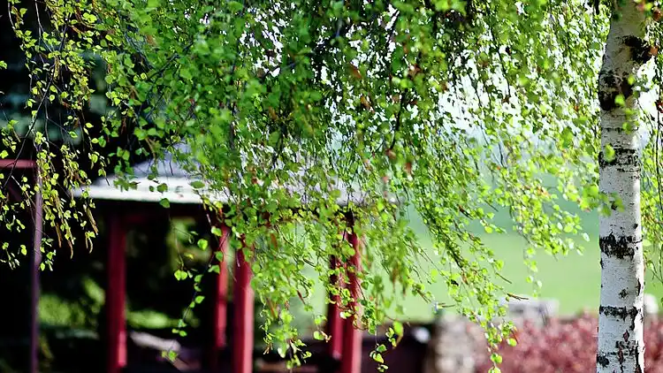 Holiday home in Antonka