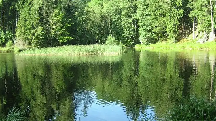 Herregård i Rynartice