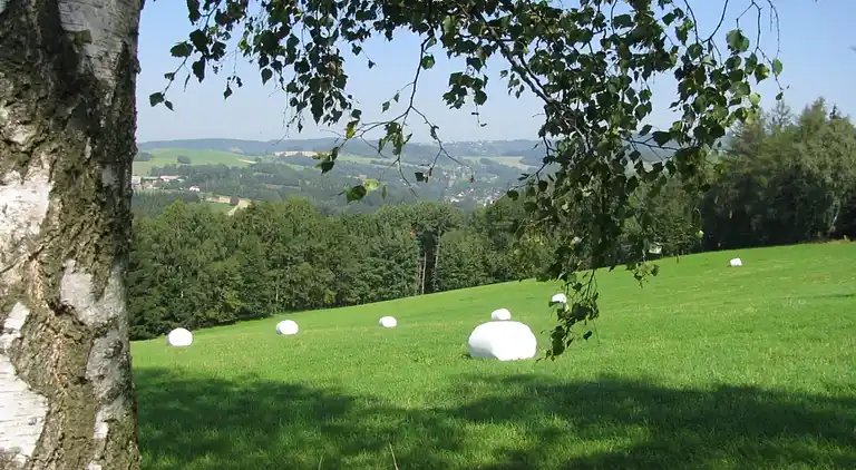 Sommerhus i Zlatá Olešnice
