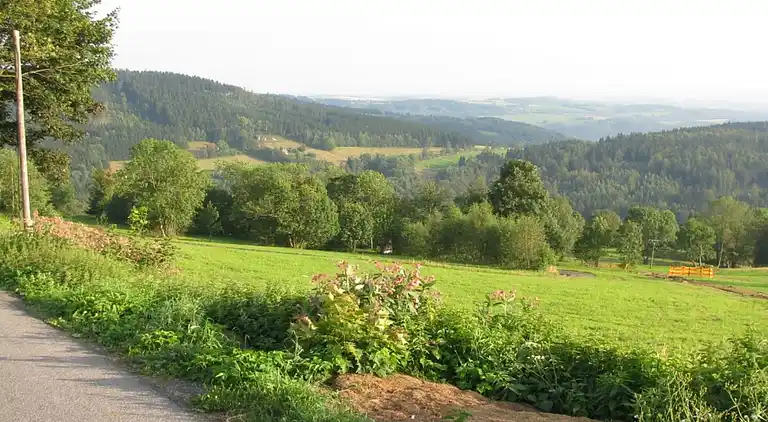 Apartment in Zlatá Olešnice