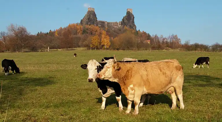 Holiday home in Radvánovice
