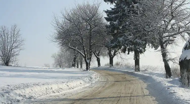 Sommerhus i Jesenný