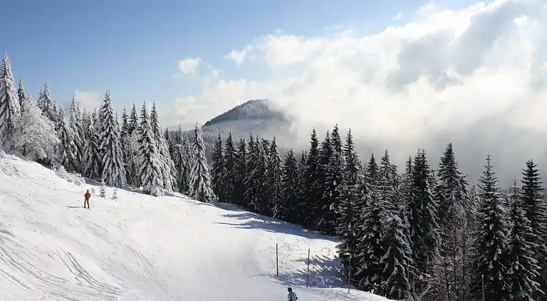 Sommerhus i Jesenný