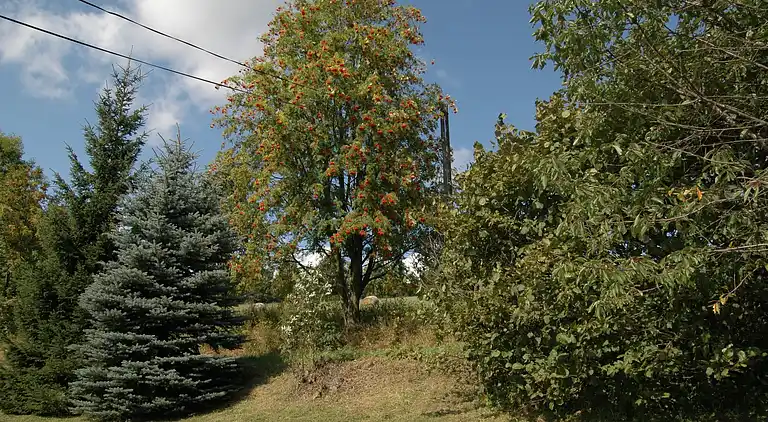 Holiday home in Jestřabí v Krkonoších