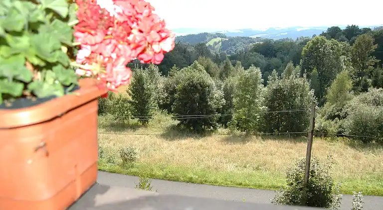 Holiday home in Jestřabí v Krkonoších