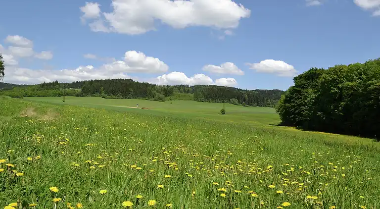 Sommerhus i Rtyně v Podkrkonoší