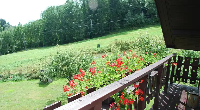 Vakantiehuis in Dolní Dvůr