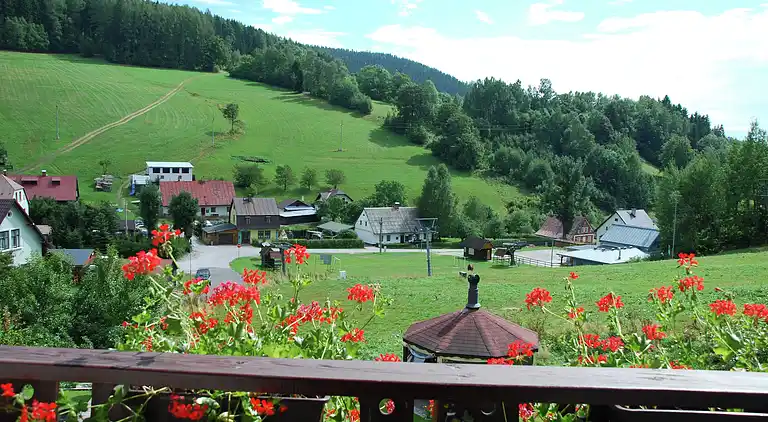 Vakantiehuis in Dolní Dvůr