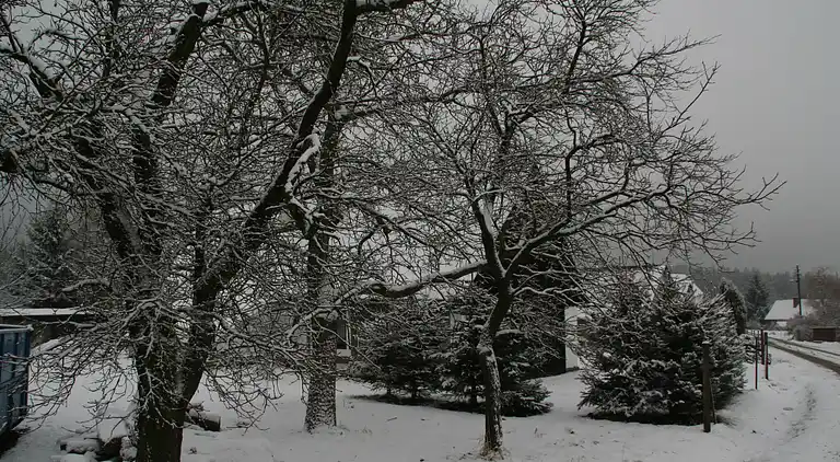Holiday home in Starobucké Debrné