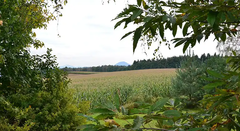 Ferielejlighed i Reinhardtsdorf