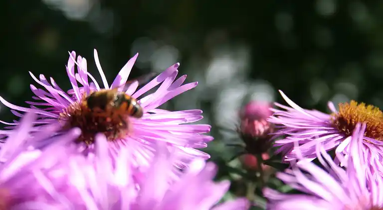 Holiday home in Mittelndorf