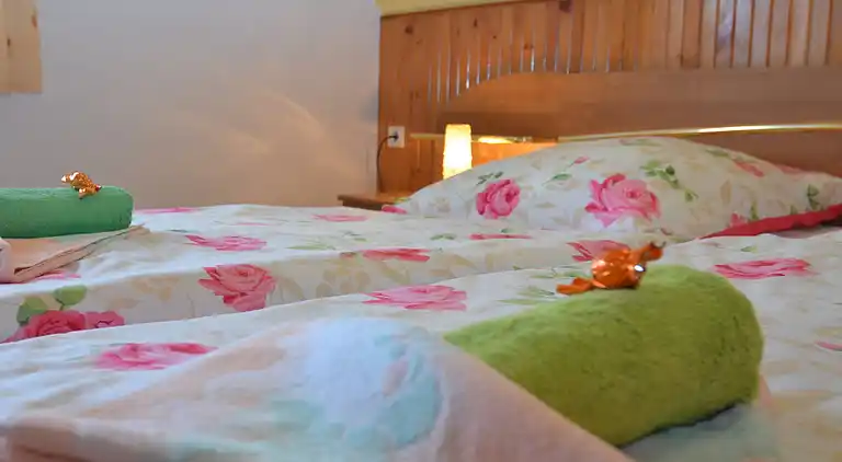 Ferienwohnung in Lichtenhain