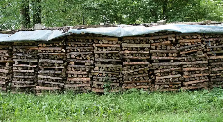 Holiday home in Schmogrow