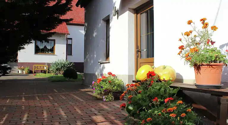 Holiday home in Schenkendöbern