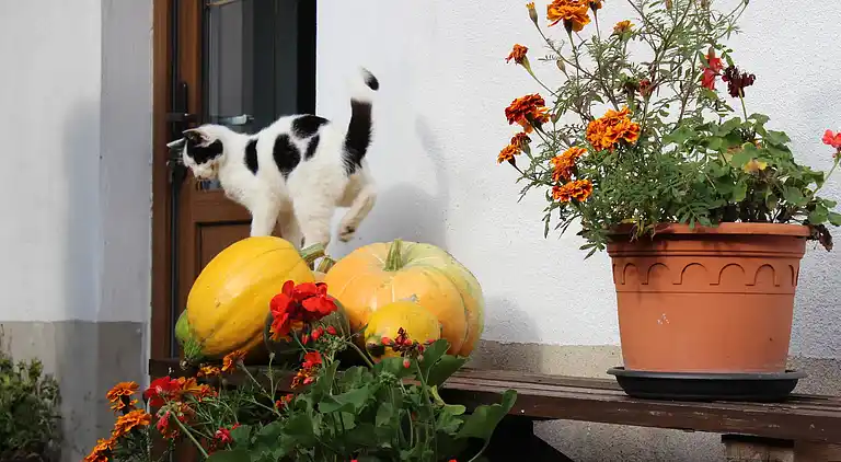 Holiday home in Schenkendöbern