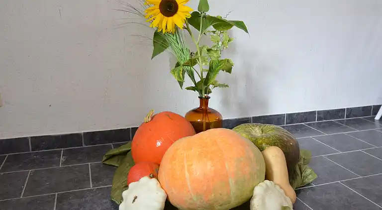 Holiday home in Schenkendöbern