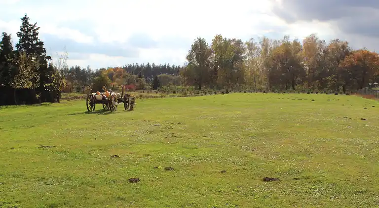 Holiday home in Schenkendöbern
