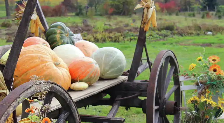 Holiday home in Schenkendöbern