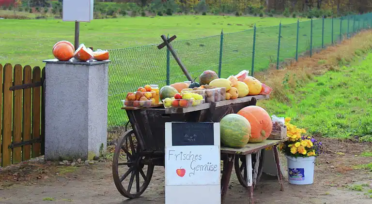Holiday home in Schenkendöbern