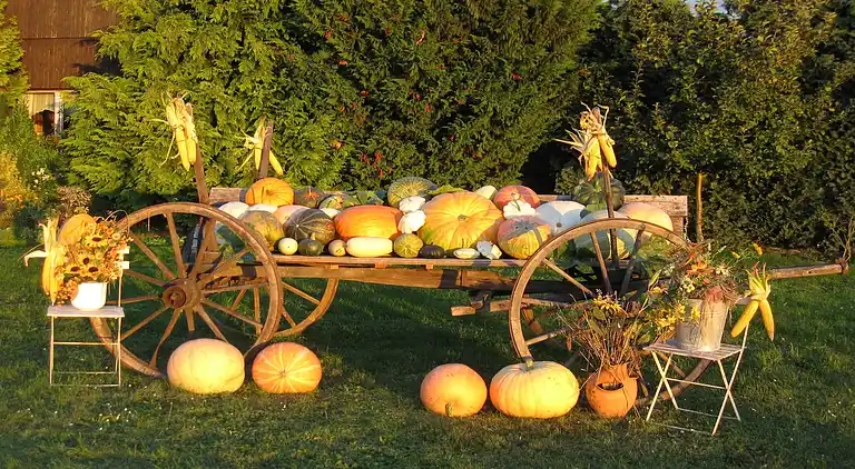 Holiday home in Schenkendöbern