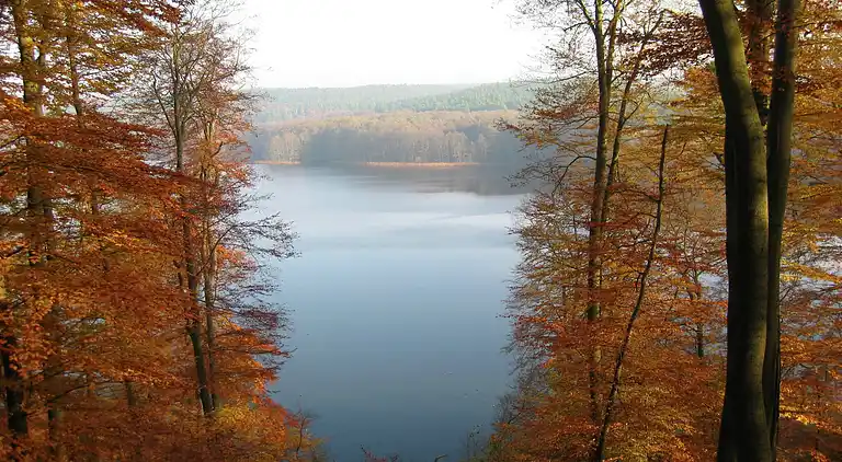 Holiday home in Schenkendöbern