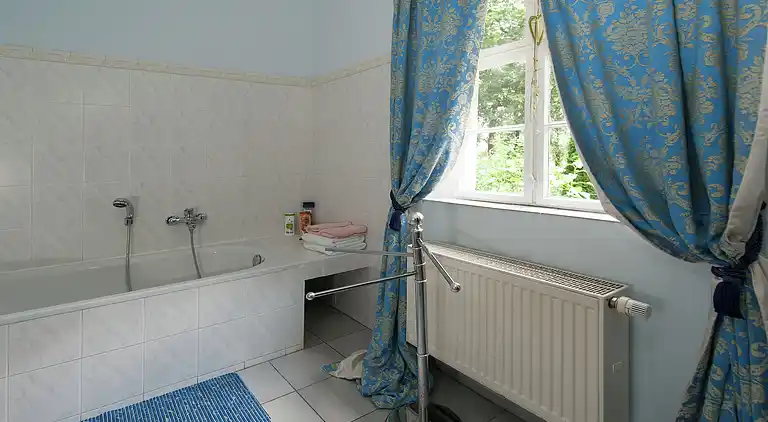 Castle in Triestewitz