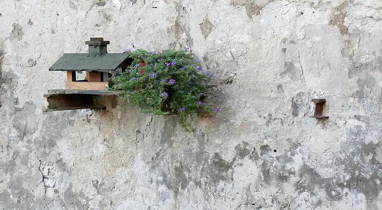 Ferielejlighed i Weddersleben