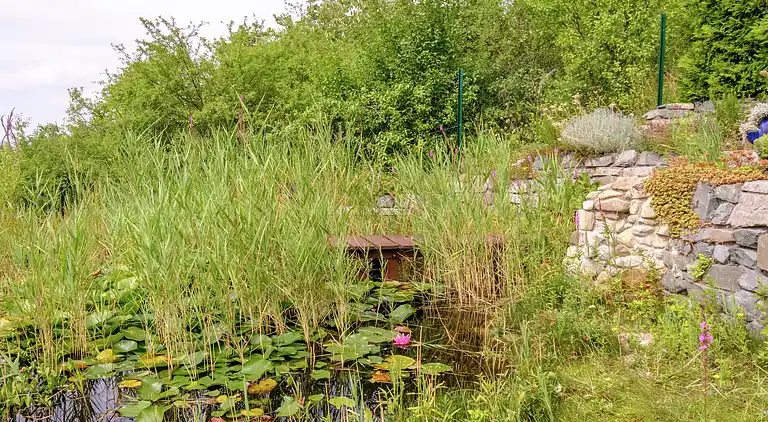 Sommerhus i Gernrode