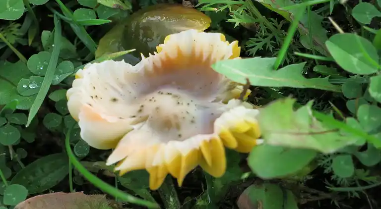 Holiday home in Kyffhäuserkreis