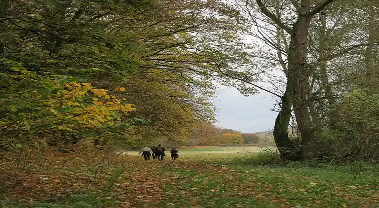 Holiday home in Kyffhäuserkreis