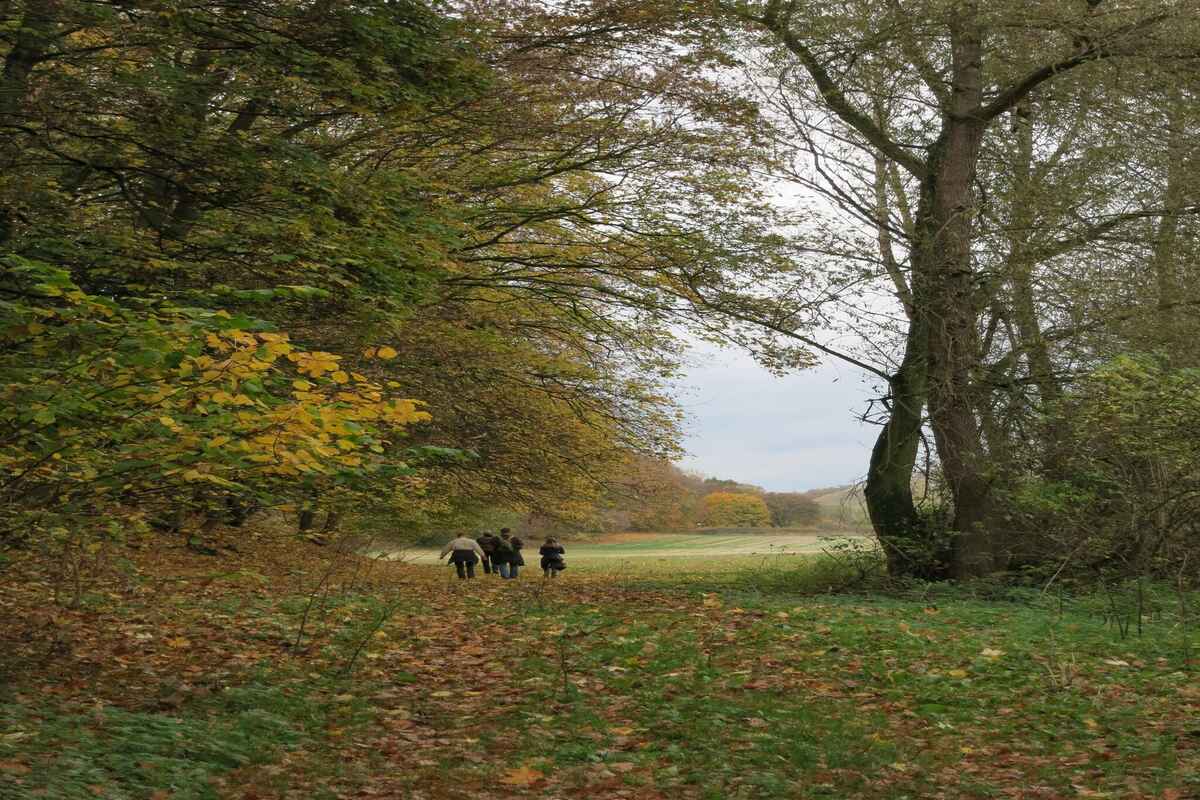 Ferienhaus mh21211 (mh21211) | Typ:Ferienhaus | Personen bis:5