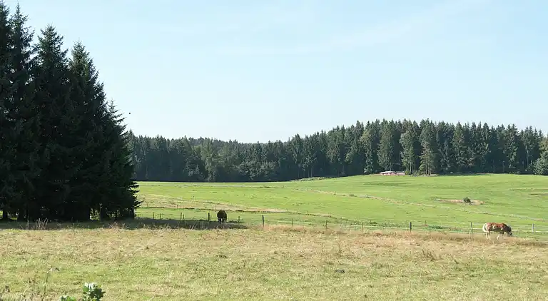 Sommerhus i Auerbach