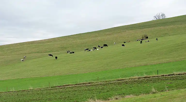 Ferielejlighed i Schwarzenberg