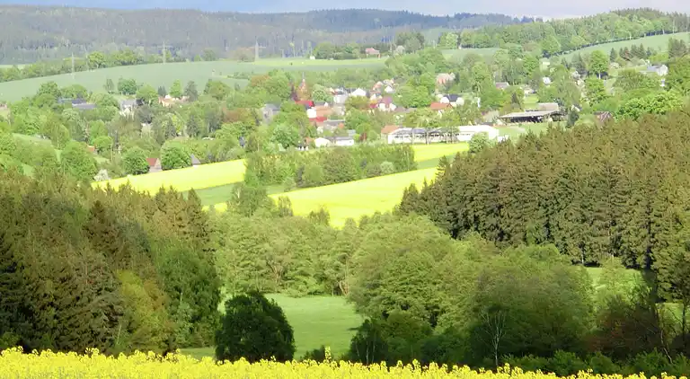 Apartment in Unterwürschnitz