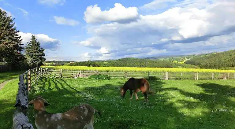 Ferielejlighed i Unterwürschnitz