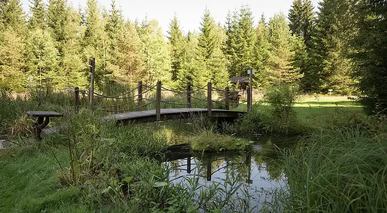 Sommerhus i Tannenbergsthal