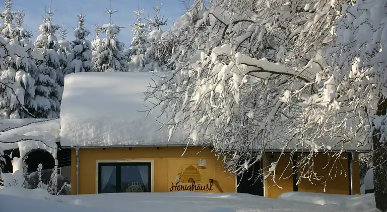 Sommerhus i Walthersdorf