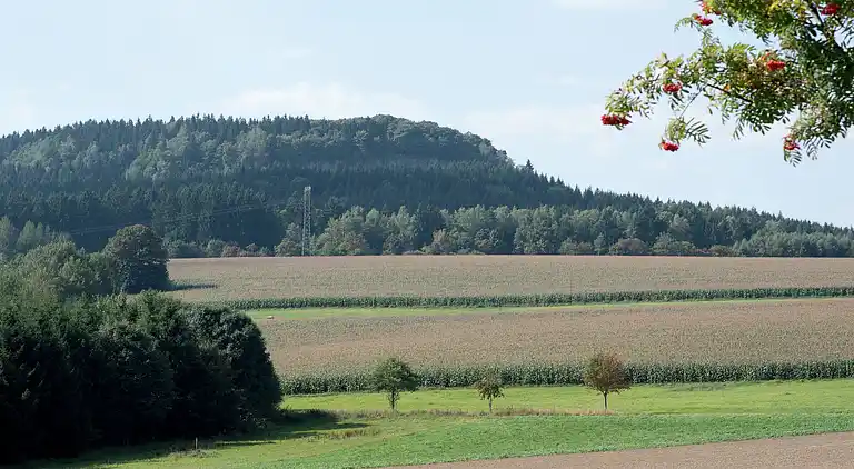 Sommerhus i Walthersdorf
