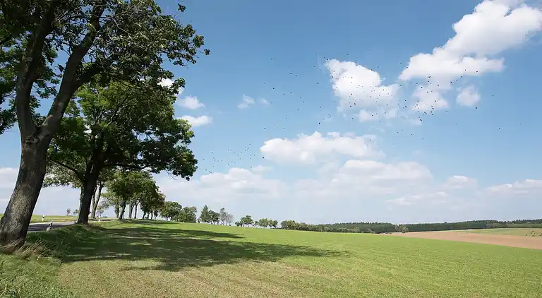 Sommerhus i Walthersdorf