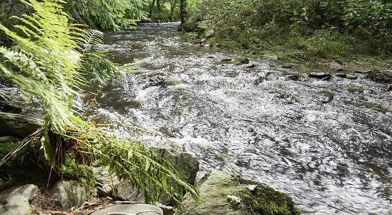 Sommerhus i Deutschneudorf