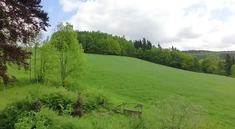 Villa in Borstendorf