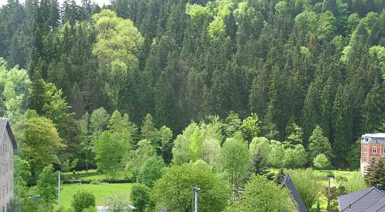 Villa in Borstendorf