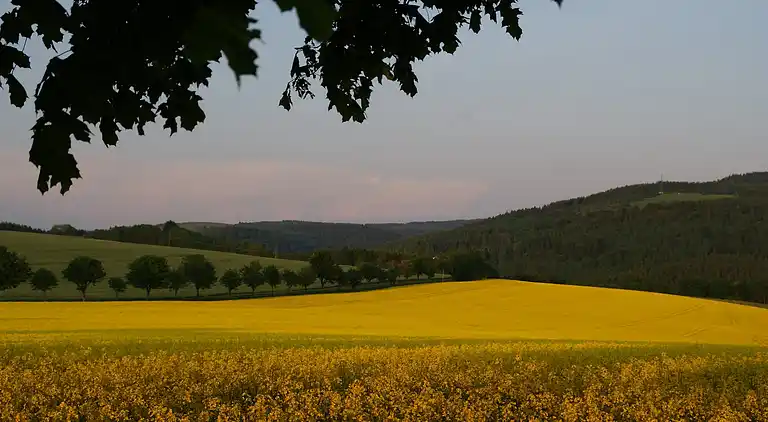 Sommerhus i Rechenberg-Bienenmühle
