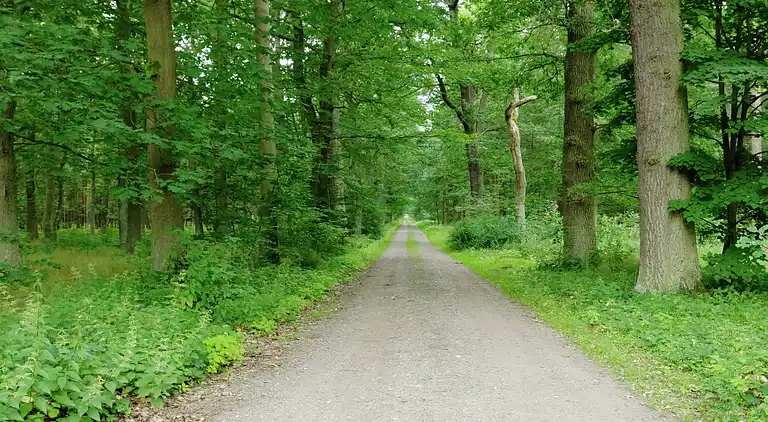 Apartment in Hangelsberg
