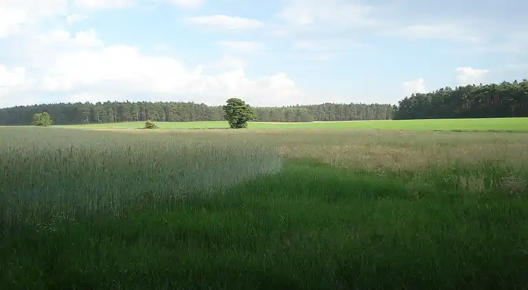 Ferielejlighed i Niewisch