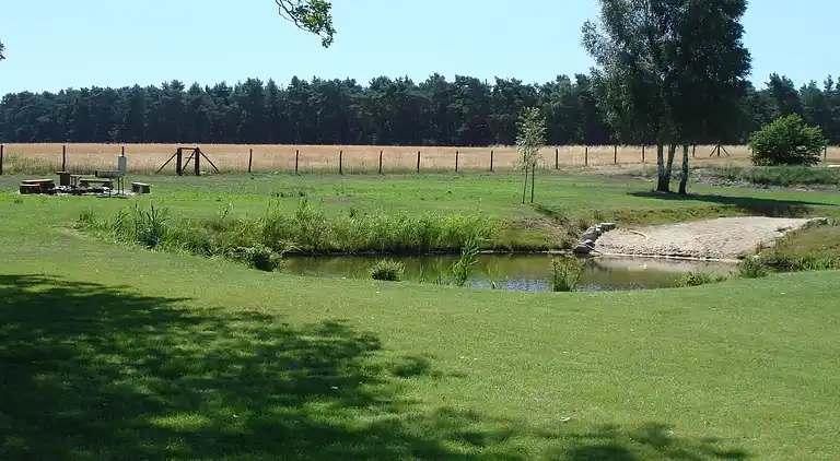 Lägenhet i Niewisch