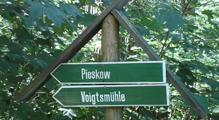 Lägenhet i Niewisch