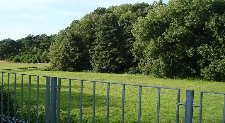 Lägenhet i Niewisch