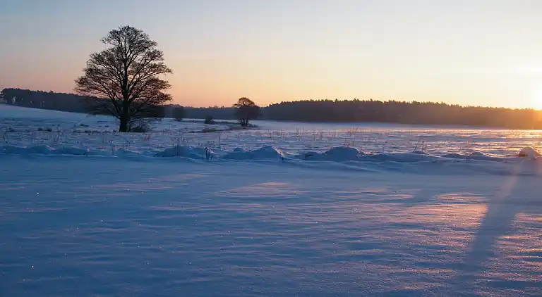 Lägenhet i Niewisch